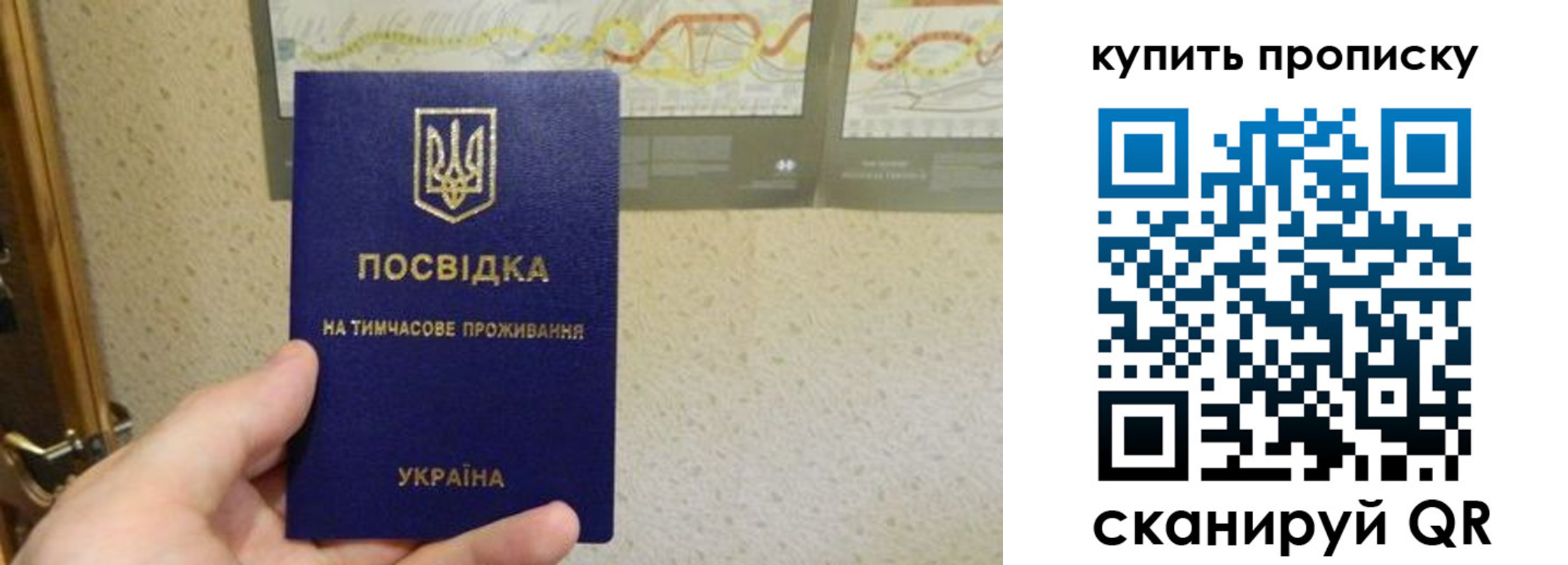временная регистрация поиск в Киришах